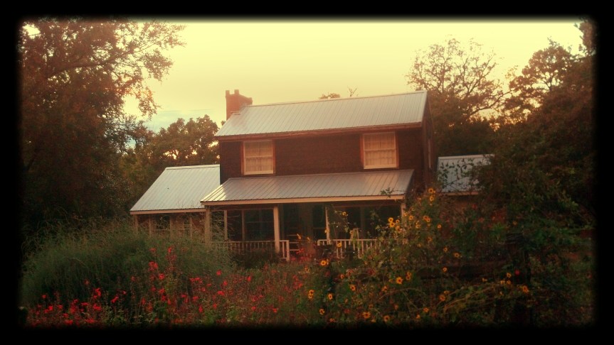 Evolution of a&nbsp;home