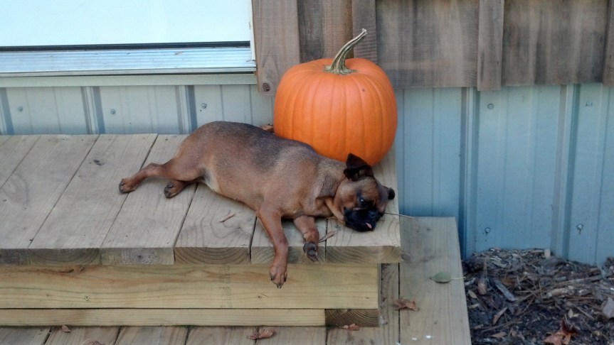 IMG_20131117_151146_862