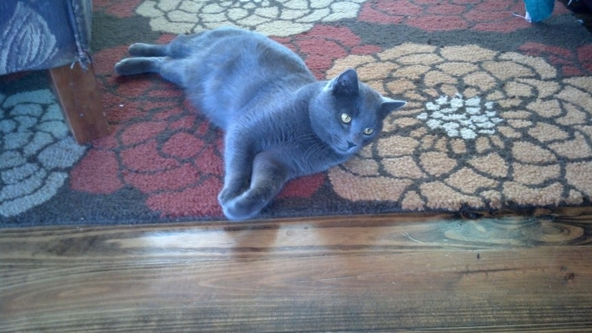 IMG_20131216_113647_853