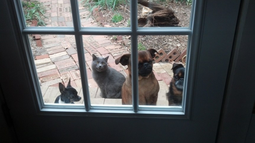 IMG_20140108_102648_874