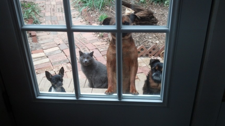 IMG_20140108_102652_664