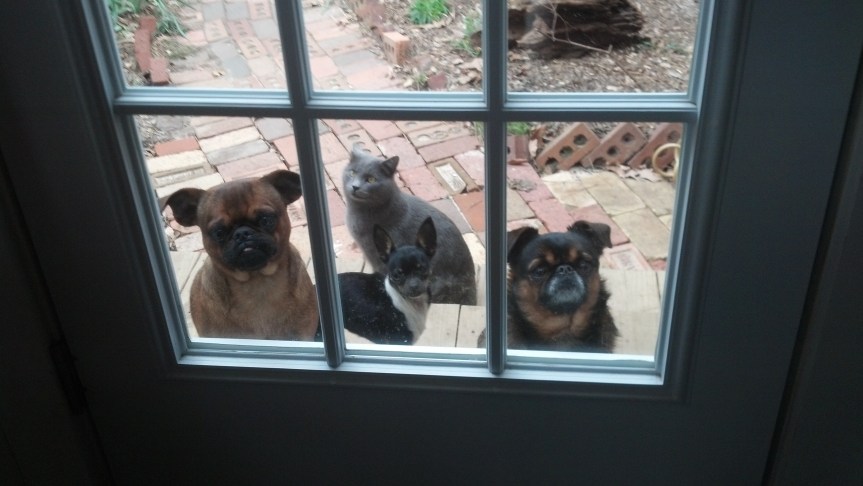 IMG_20140108_102617_752