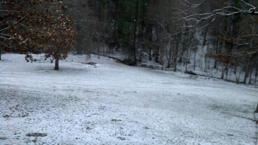 IMG_20140124_073427_802