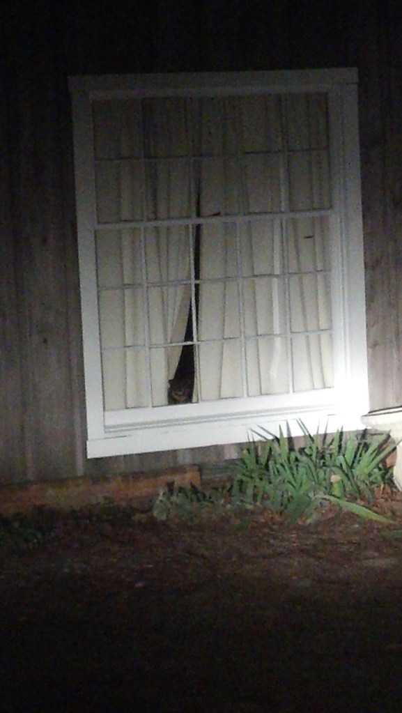 IMG_20140127_192713_786