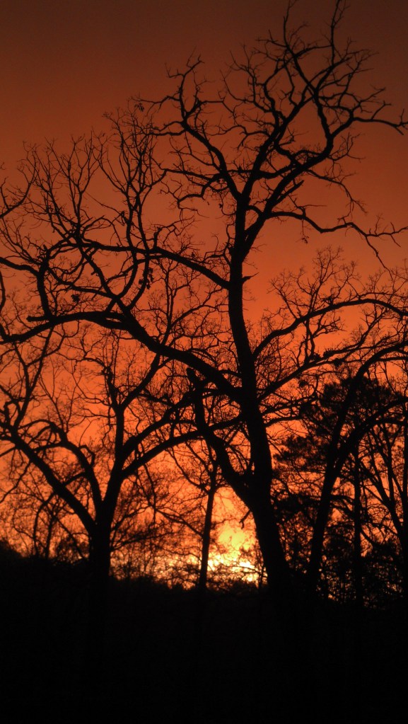 IMG_20140328_193504_696