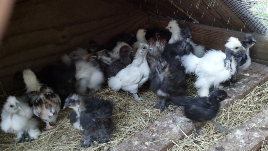 IMG_20140427_193150_996