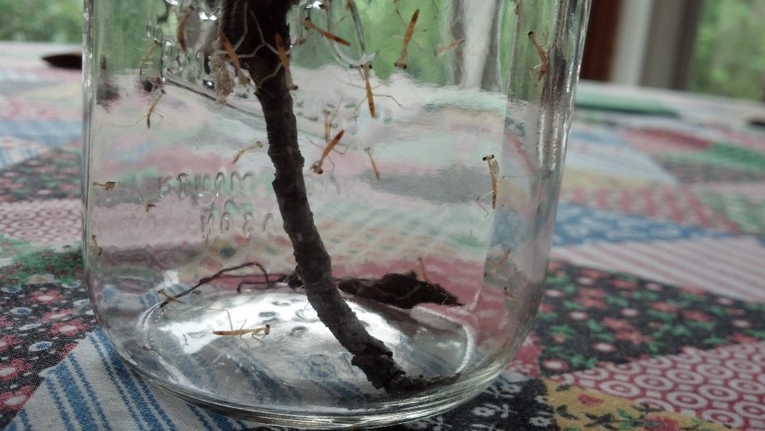 IMG_20140524_092738_759