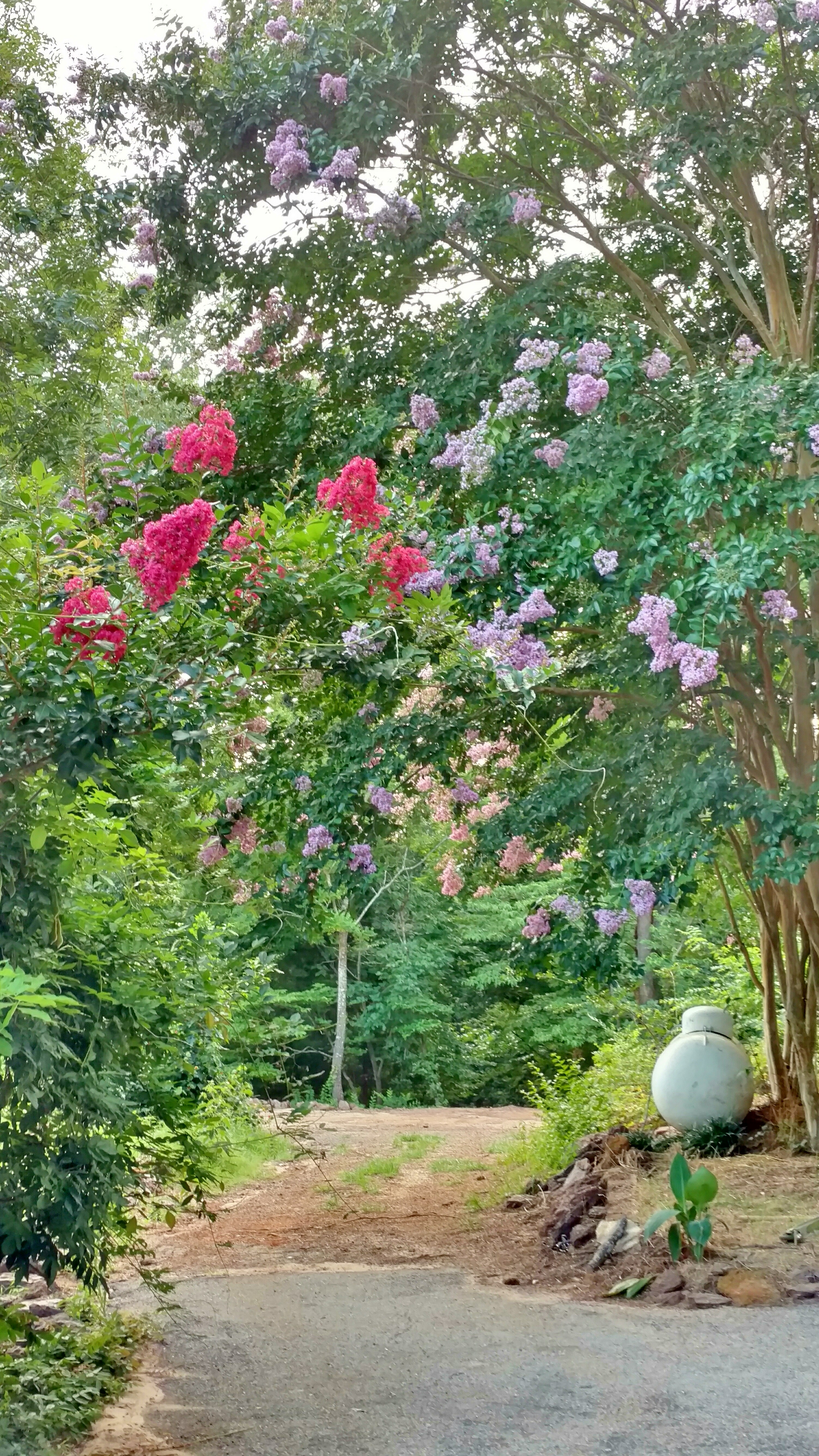 Fotor_146661286334518