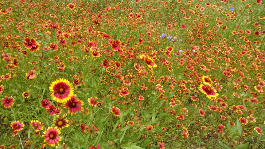 IMG_20160514_141921187