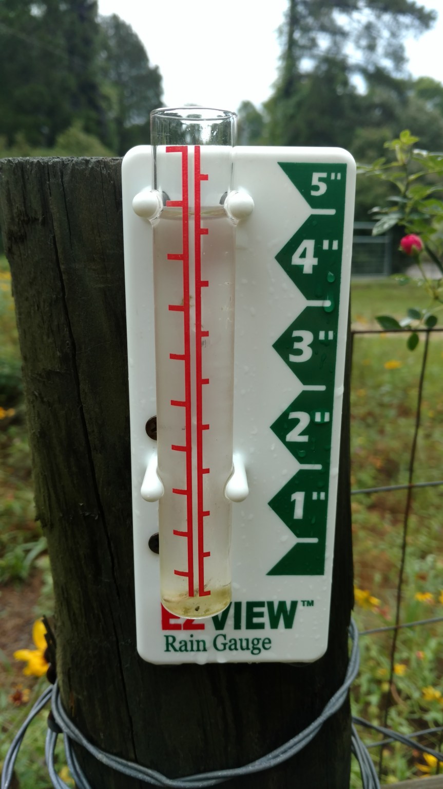 IMG_20160613_092601777