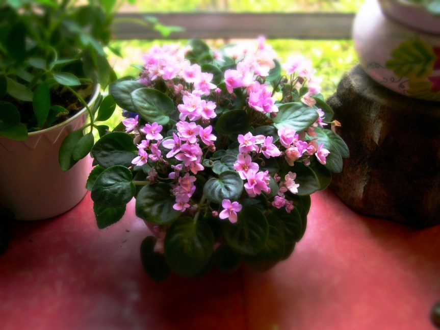 I’ll take one. No, better make that&nbsp;200.