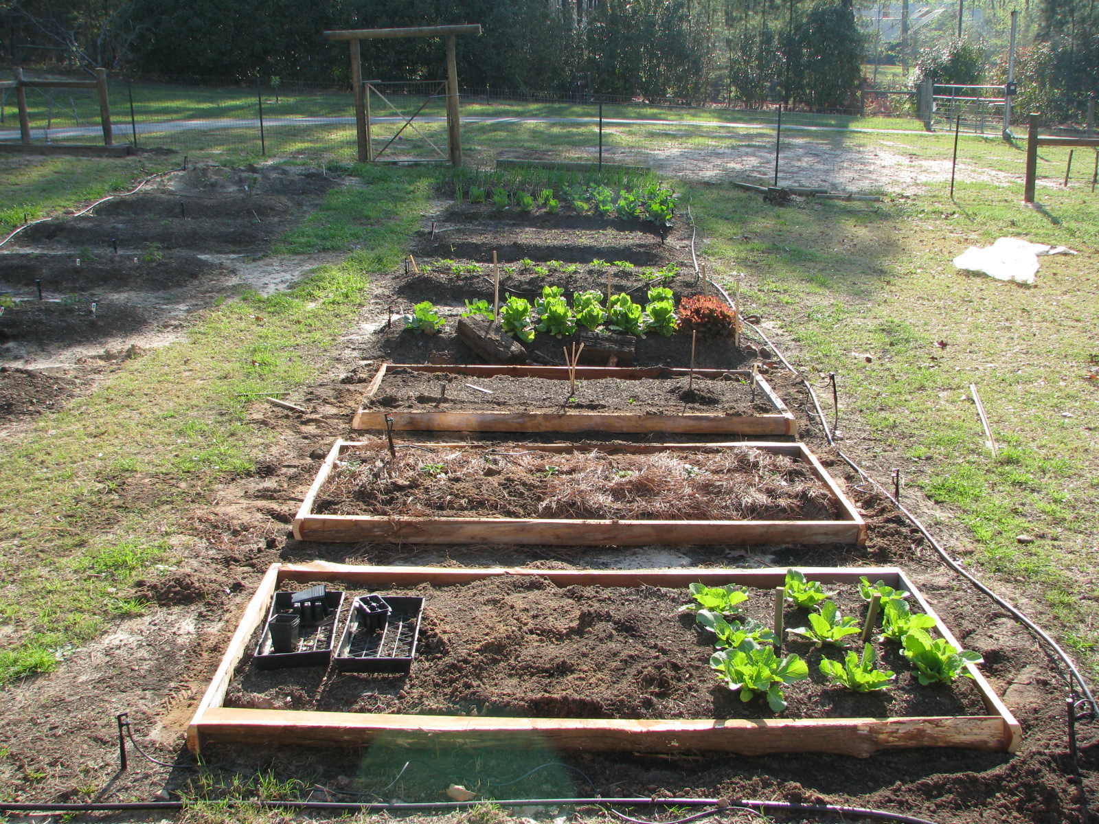 amandasphotos 024.jpg