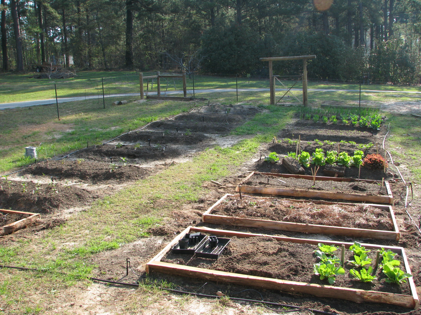 amandasphotos 026.jpg