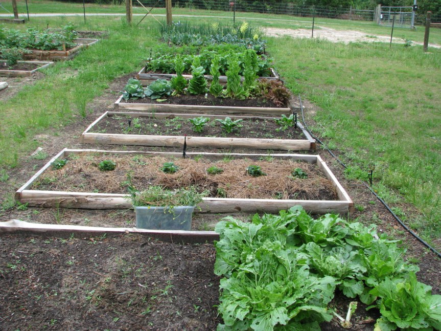 amandasphotos 216.jpg