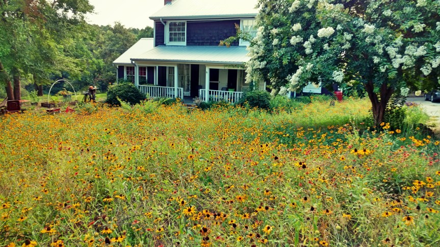 Fotor_146661274419228 (1).jpg