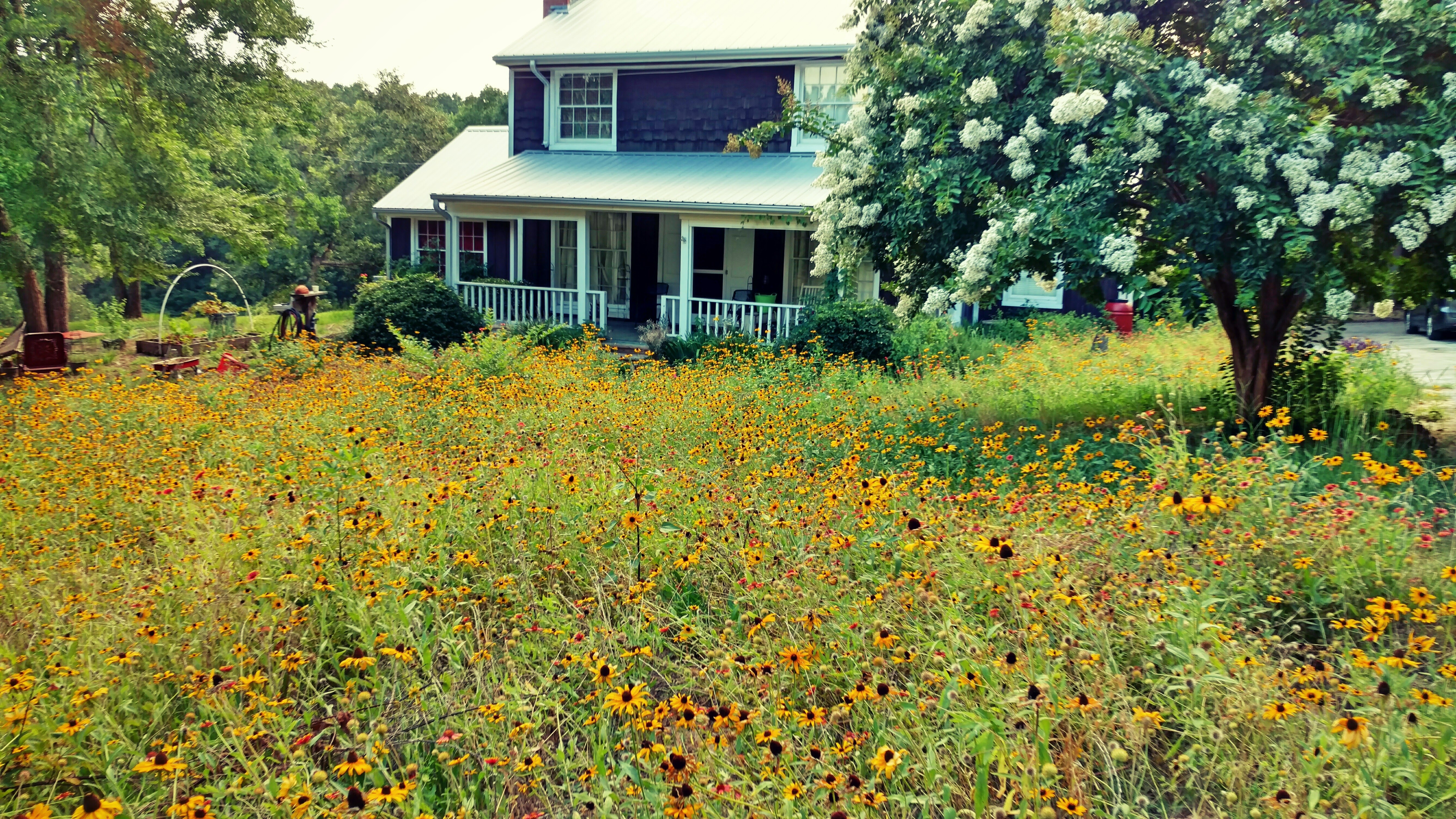 Fotor_146661274419228 (2).jpg