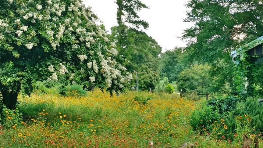 Fotor_14666129746355 (1).jpg