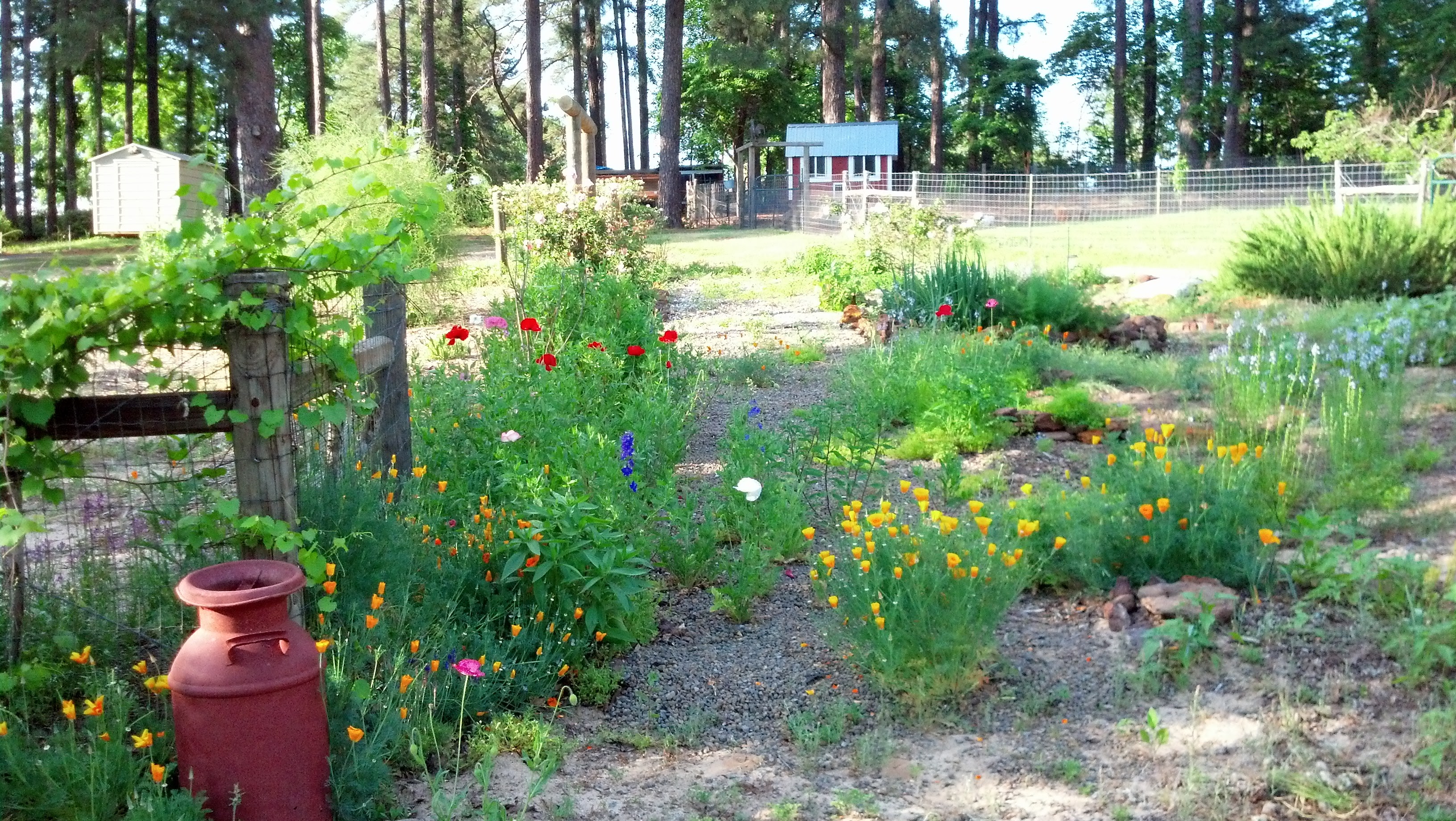 IMG_20130428_181046_330 (1).jpg