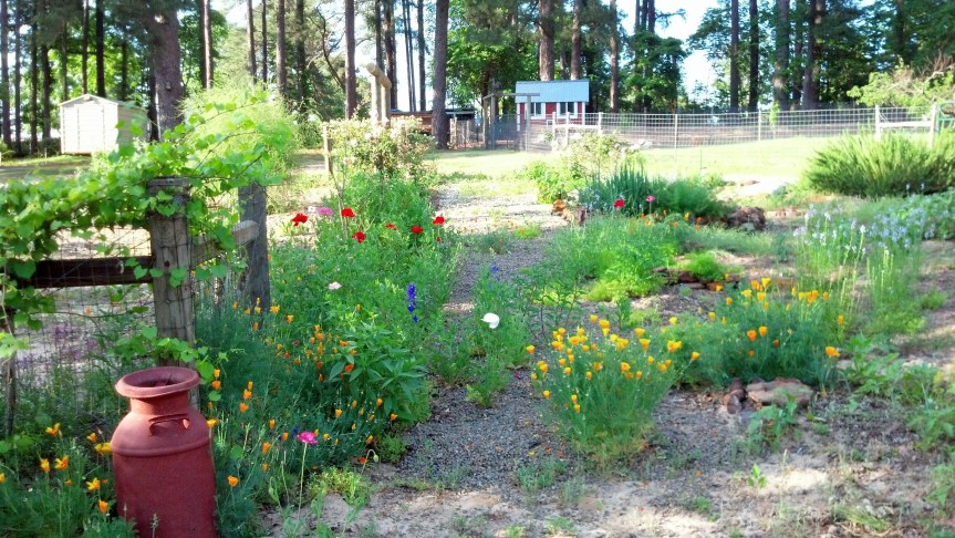 IMG_20130428_181046_330 (1).jpg