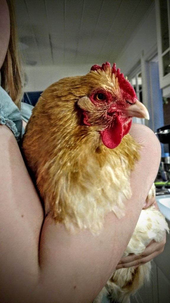 img_20160307_180411697