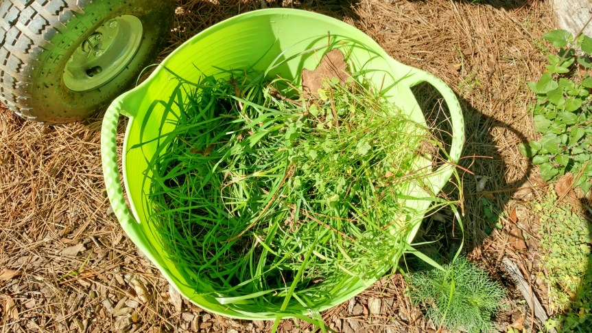 Another way to look at&nbsp;weeds