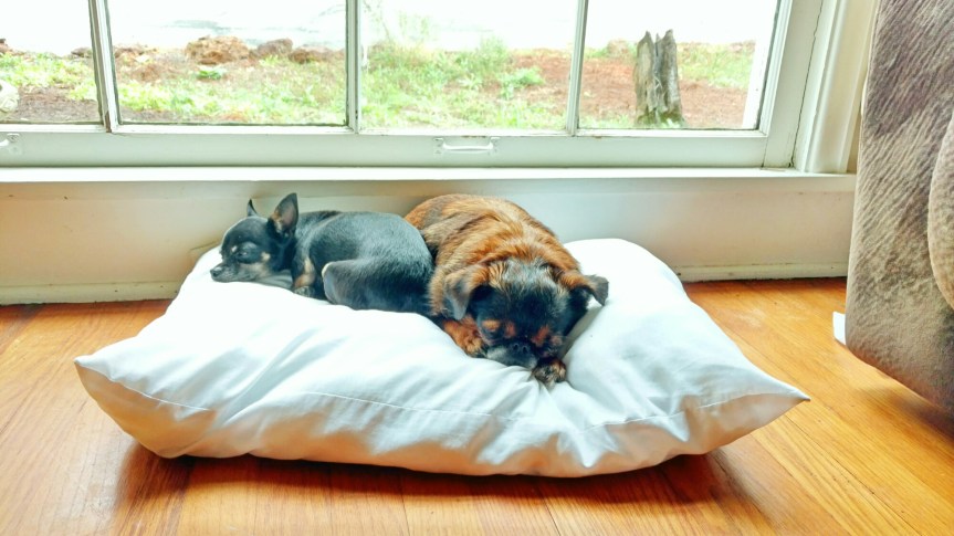 Some days are good&nbsp;for…