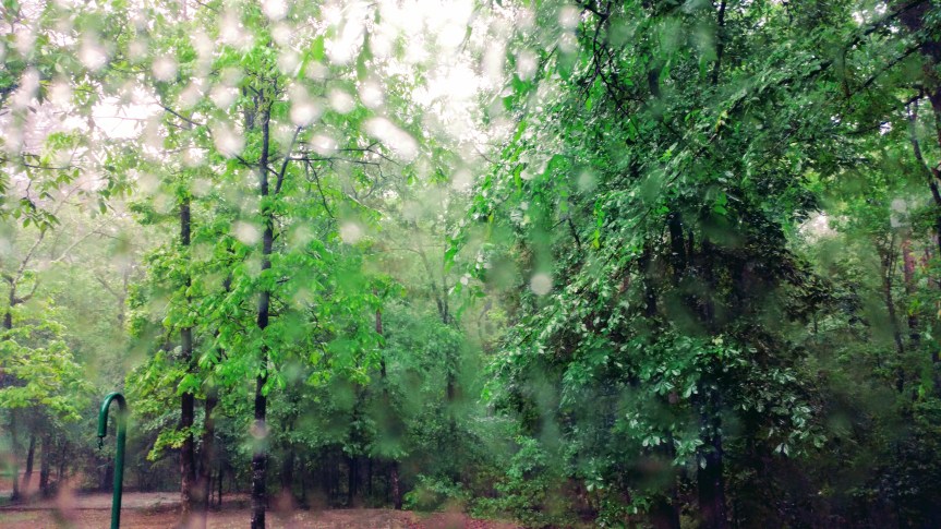 IMG_20170426_132109448