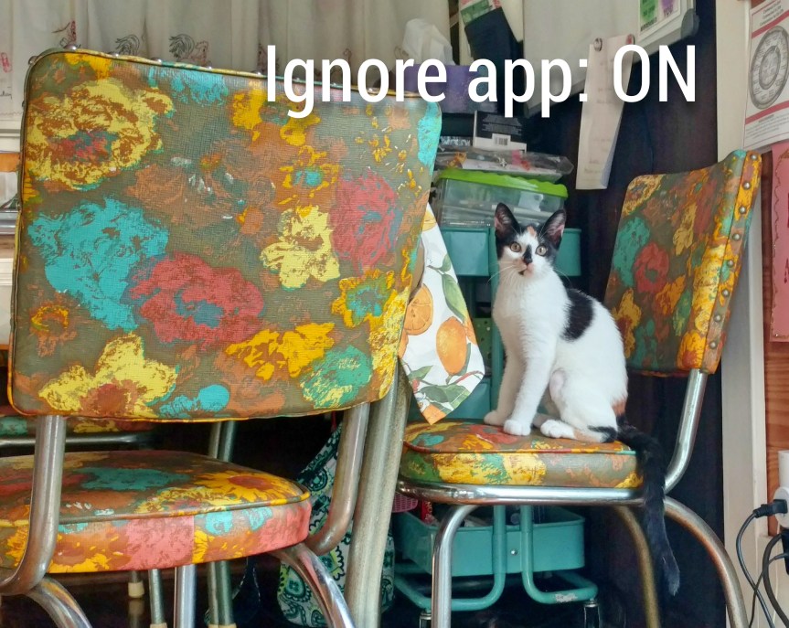 No one listens to&nbsp;me