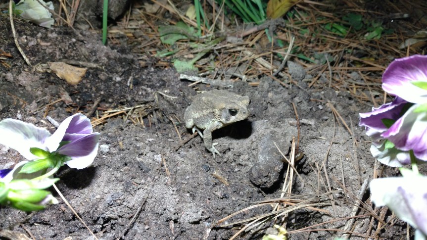 IMG_20171105_192521990