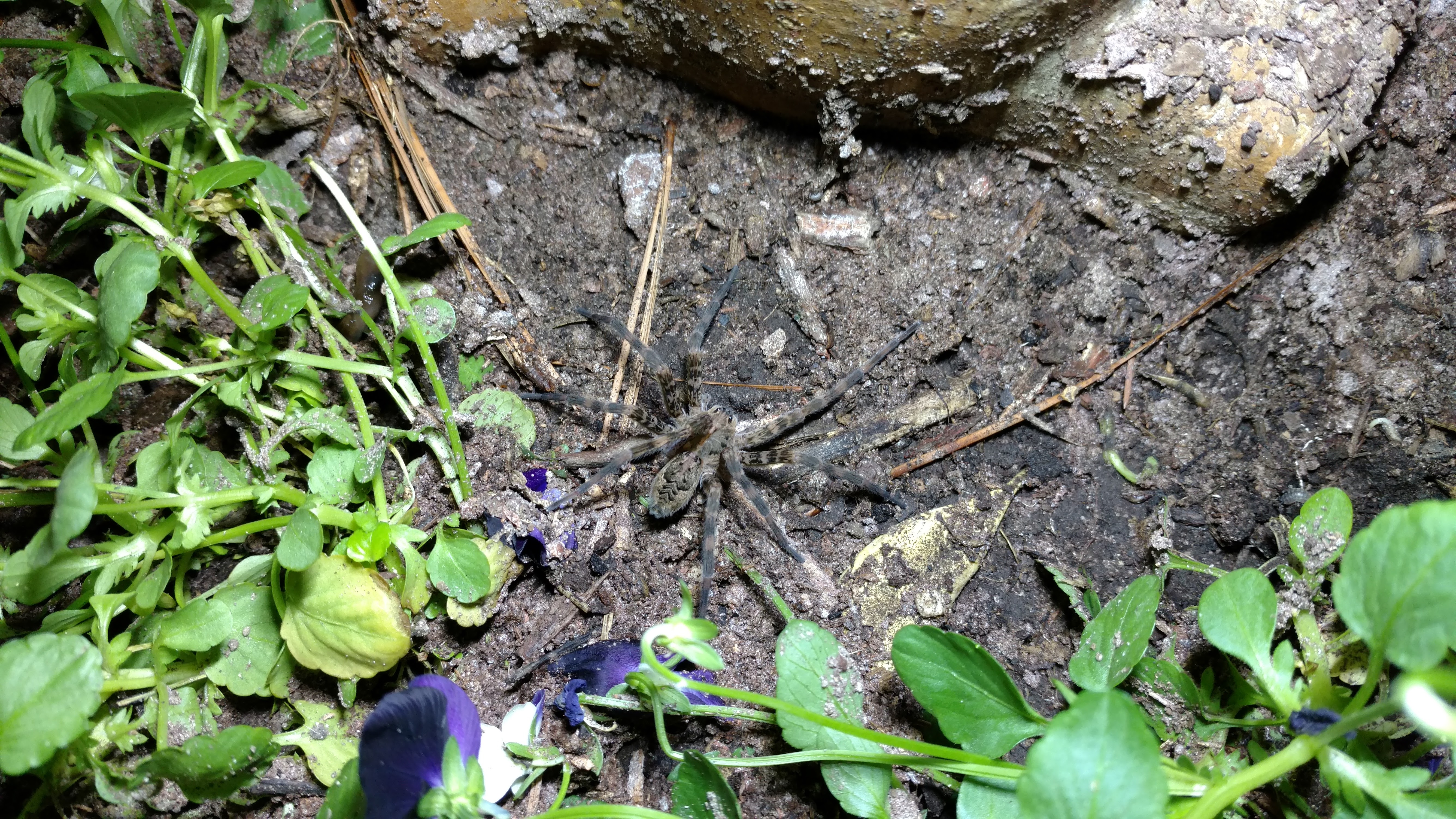 IMG_20171105_192529659