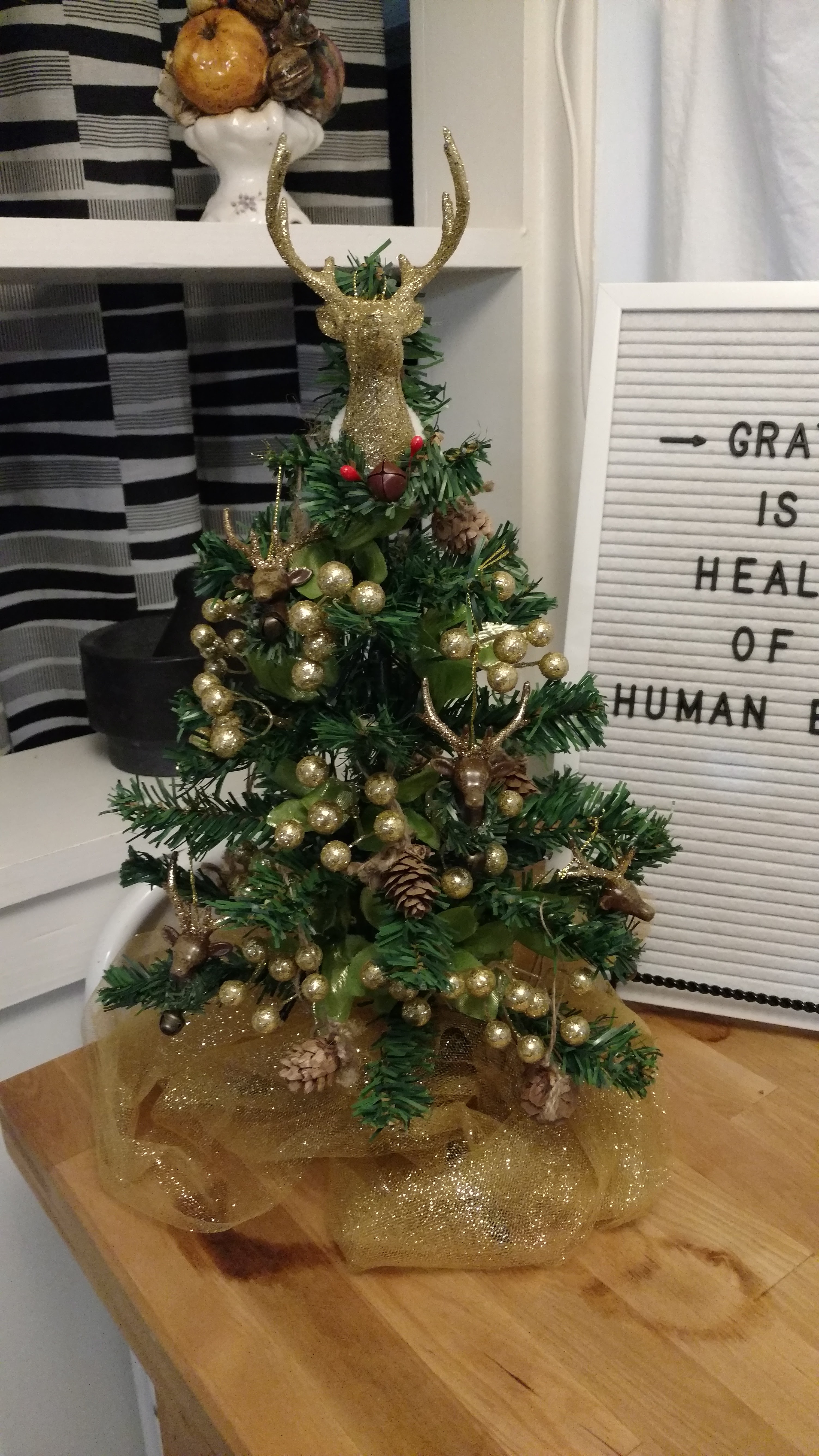 IMG_20171108_131649999