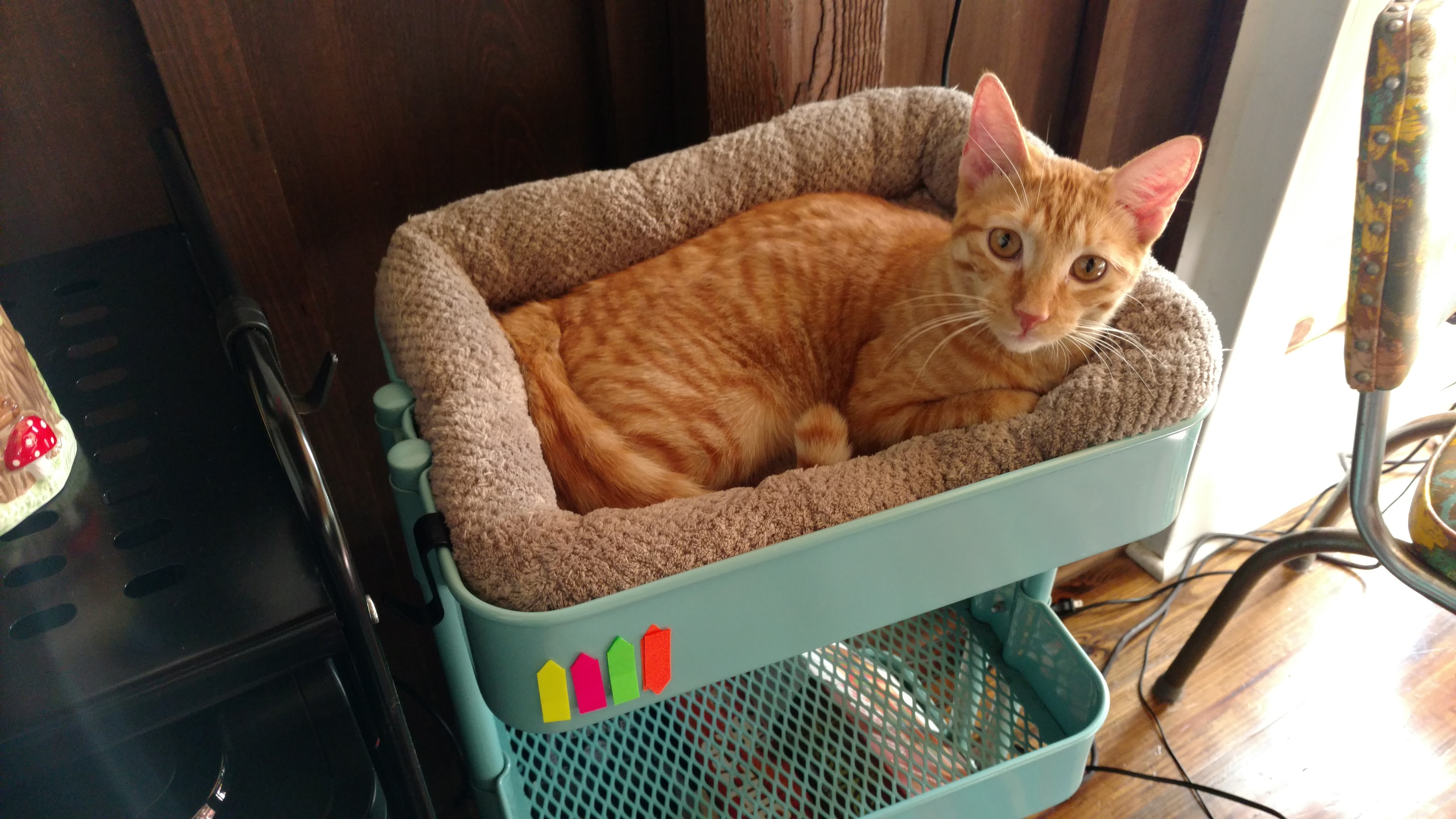 IMG_20171109_135438783_TOP