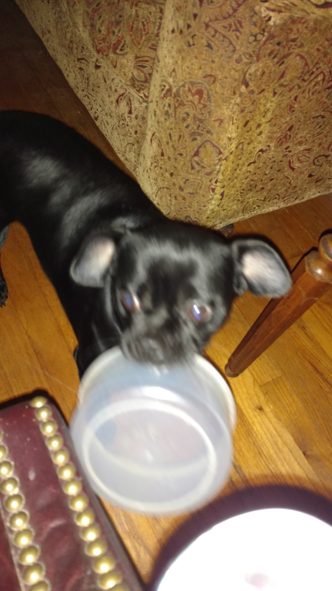 IMG_20171113_095948183