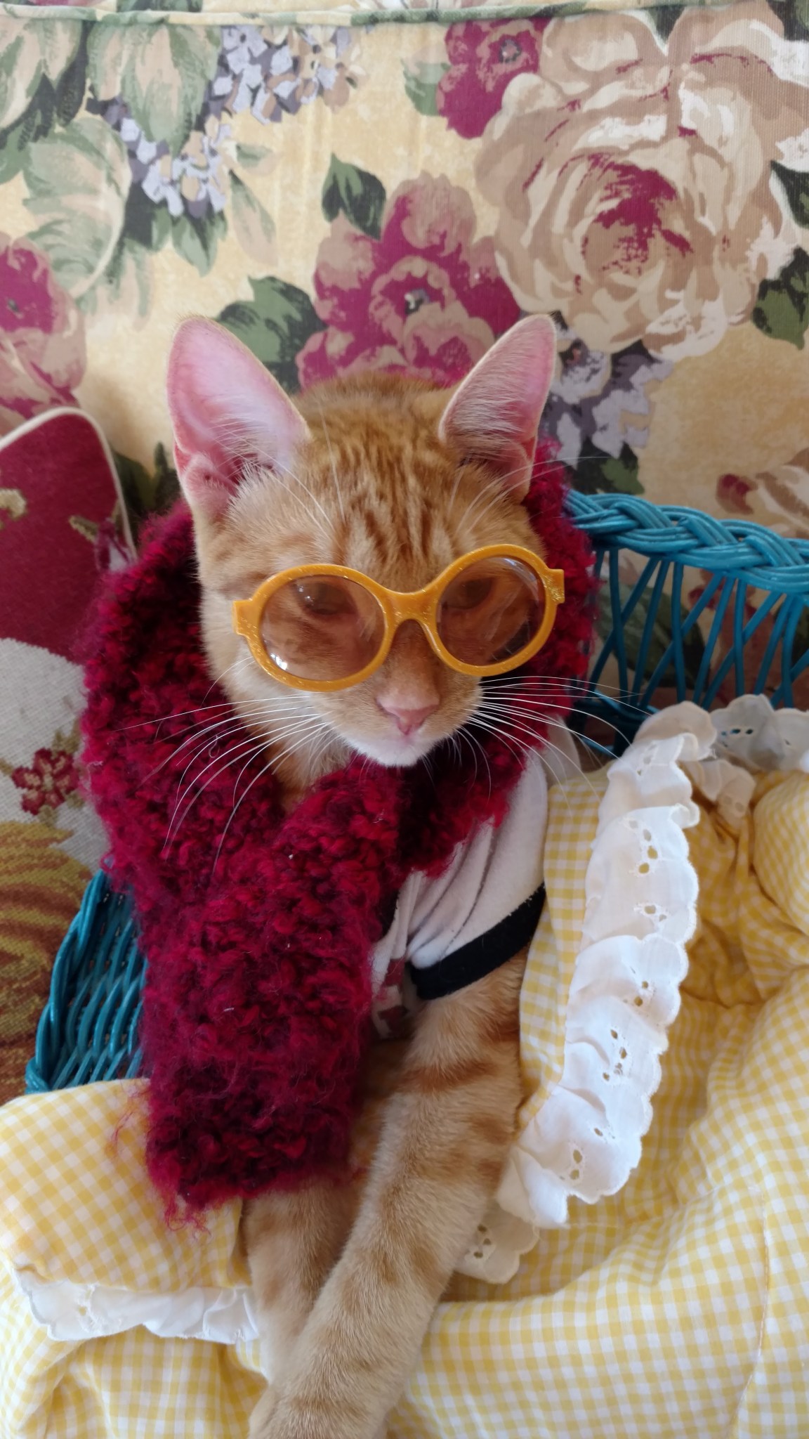 IMG_20171114_125816258