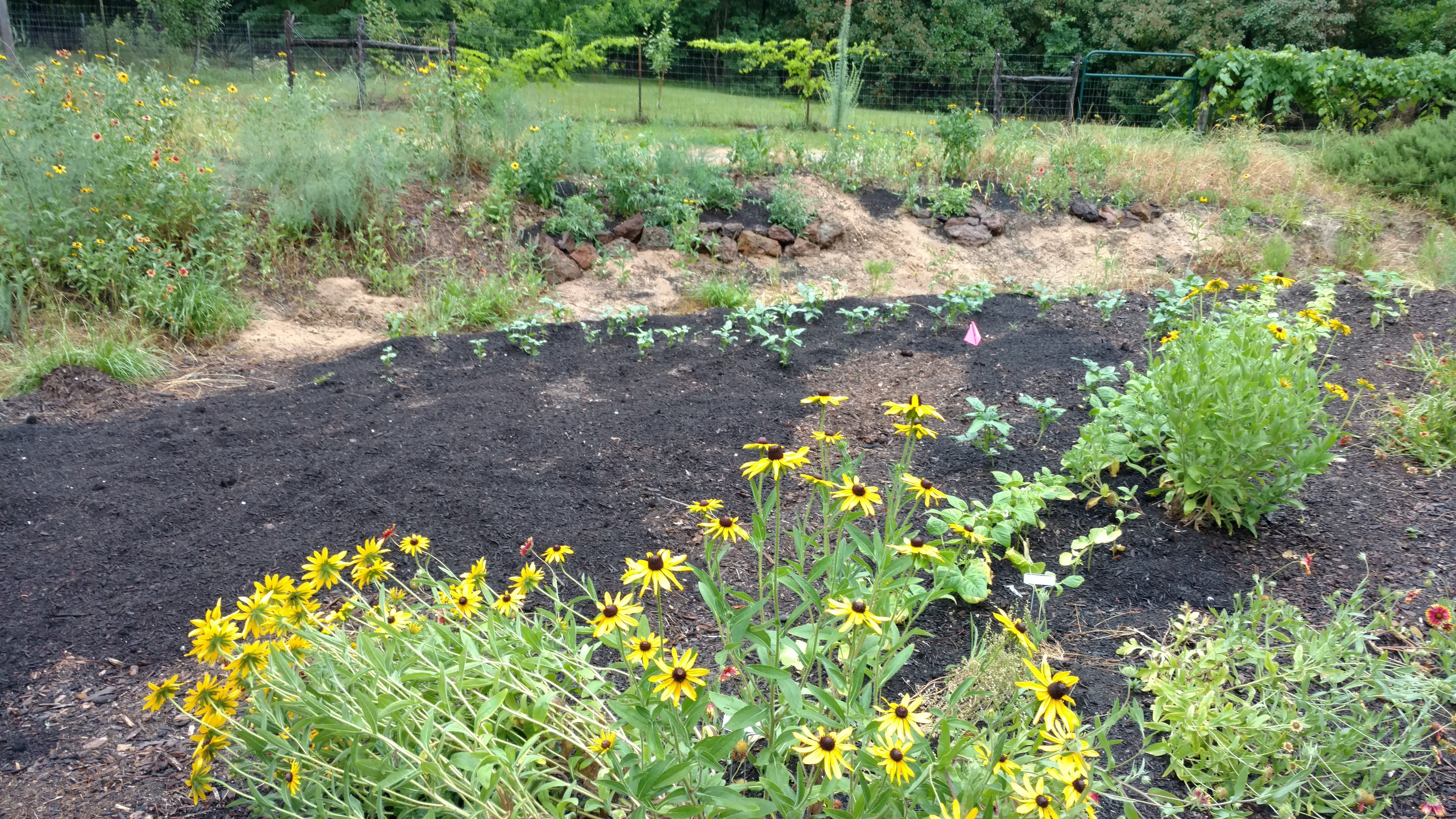 IMG_20180520_185532176