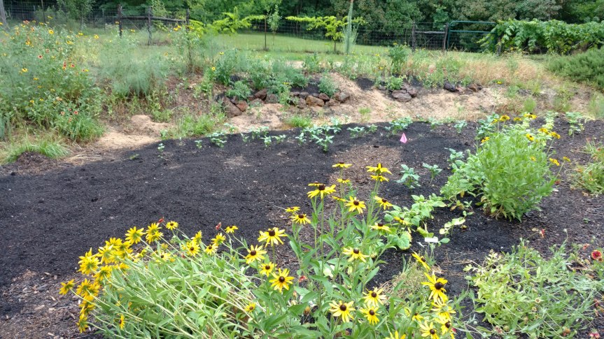 IMG_20180520_185532176