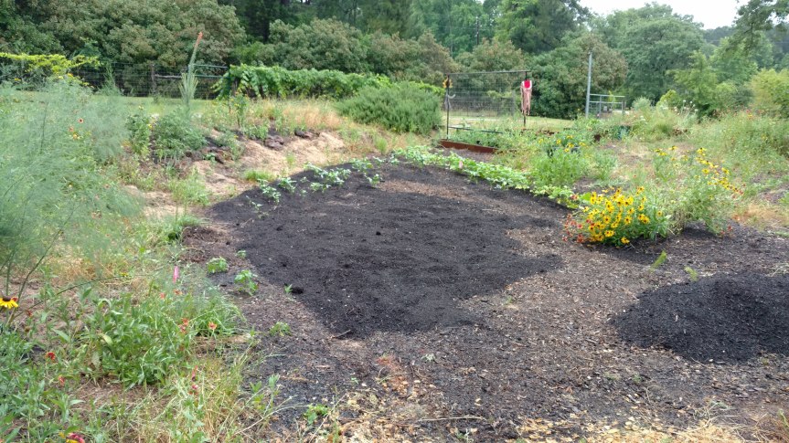 IMG_20180520_185719162