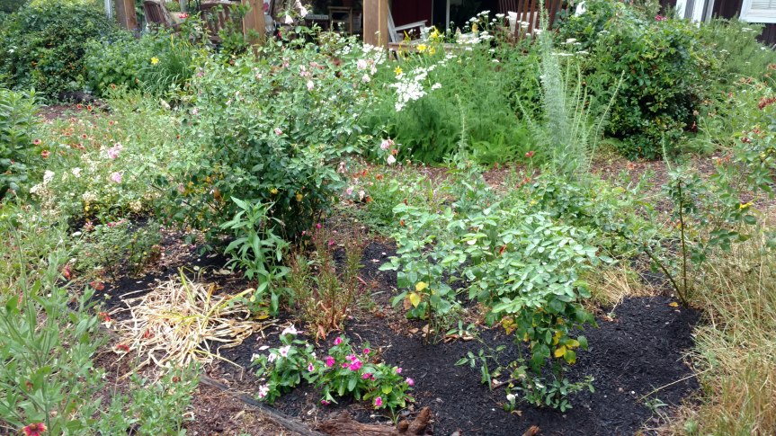 IMG_20180520_185744496_TOP