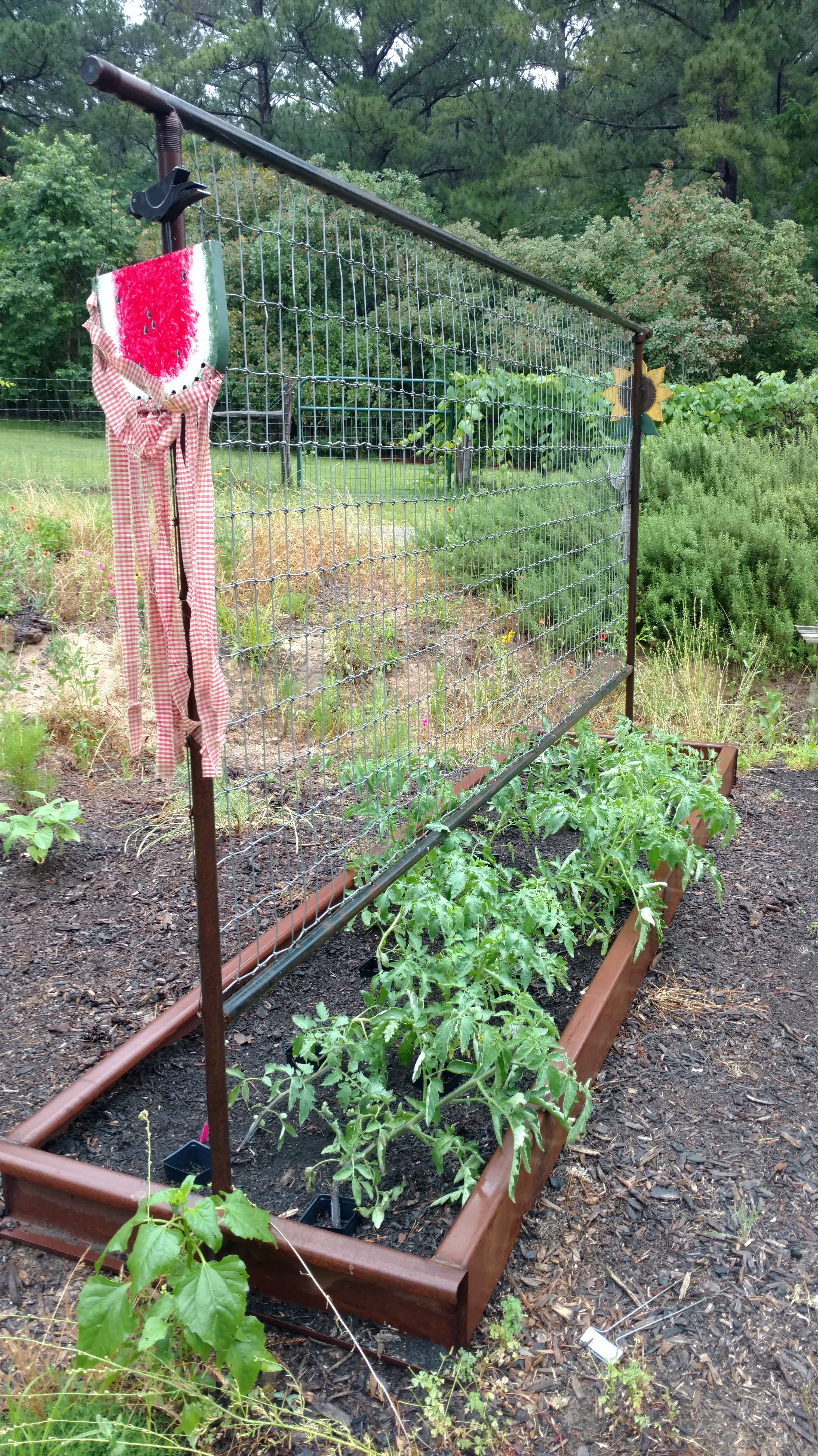 IMG_20180520_185804244_TOP