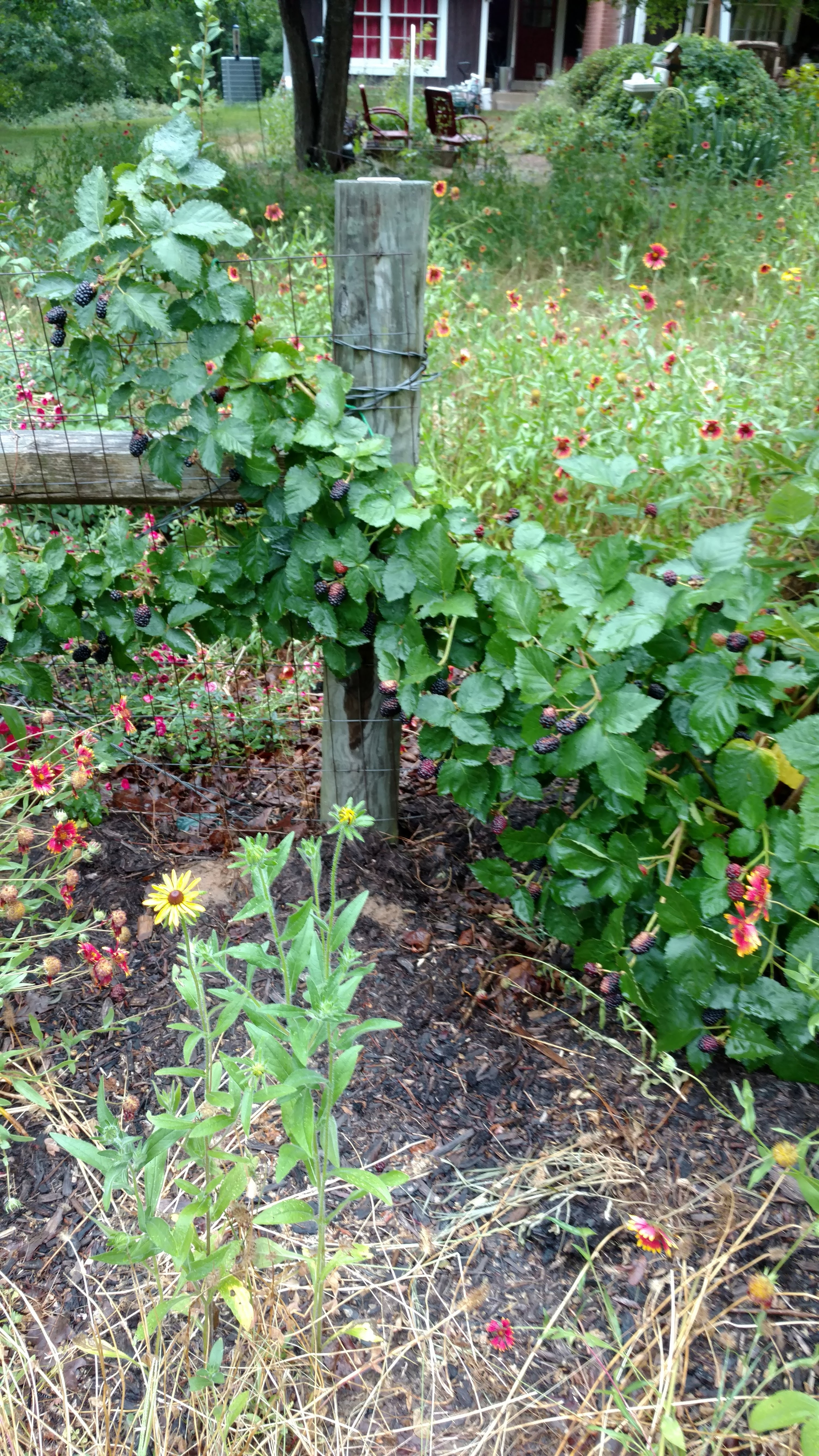 IMG_20180520_185931516