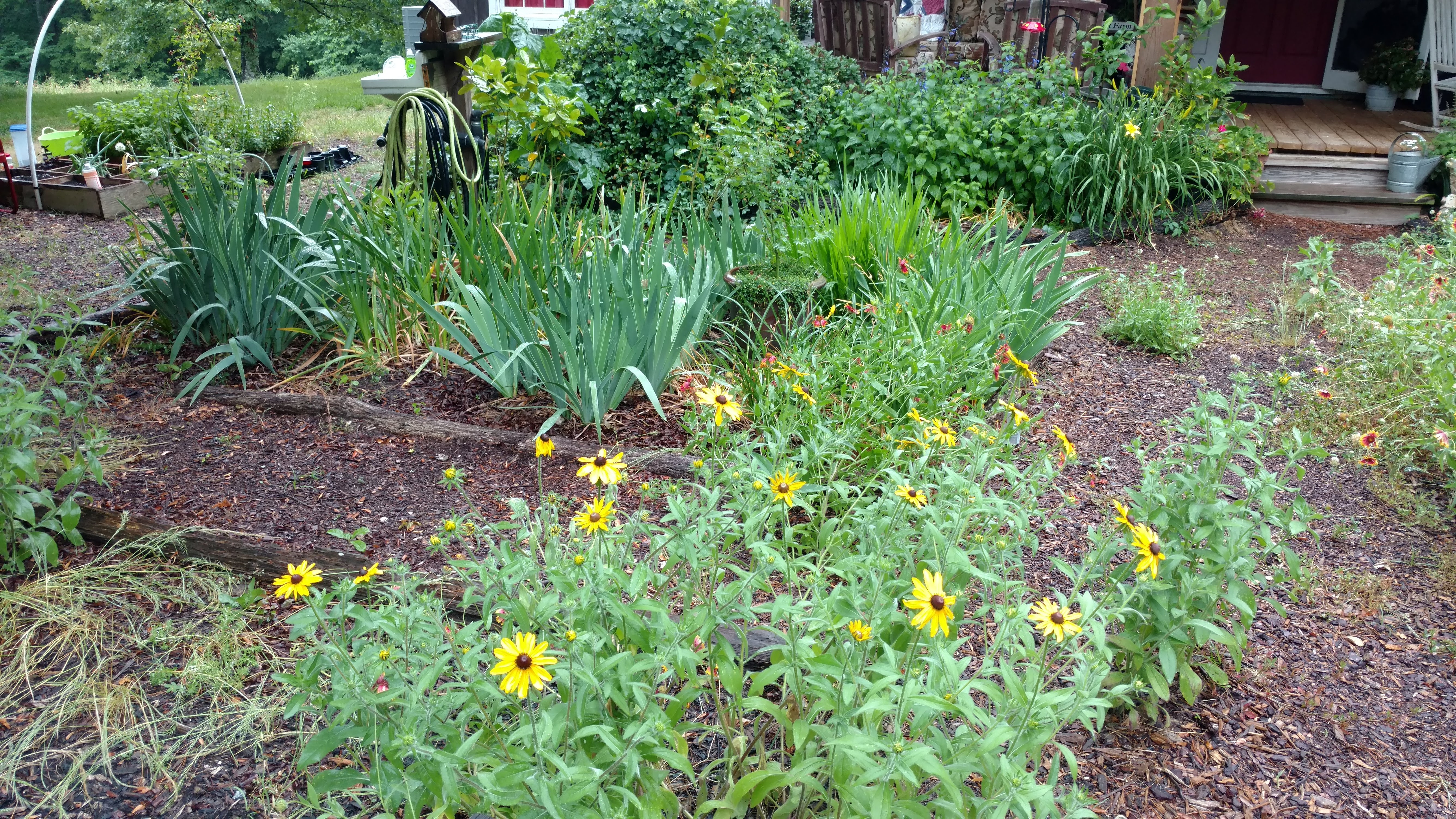 IMG_20180520_185954199