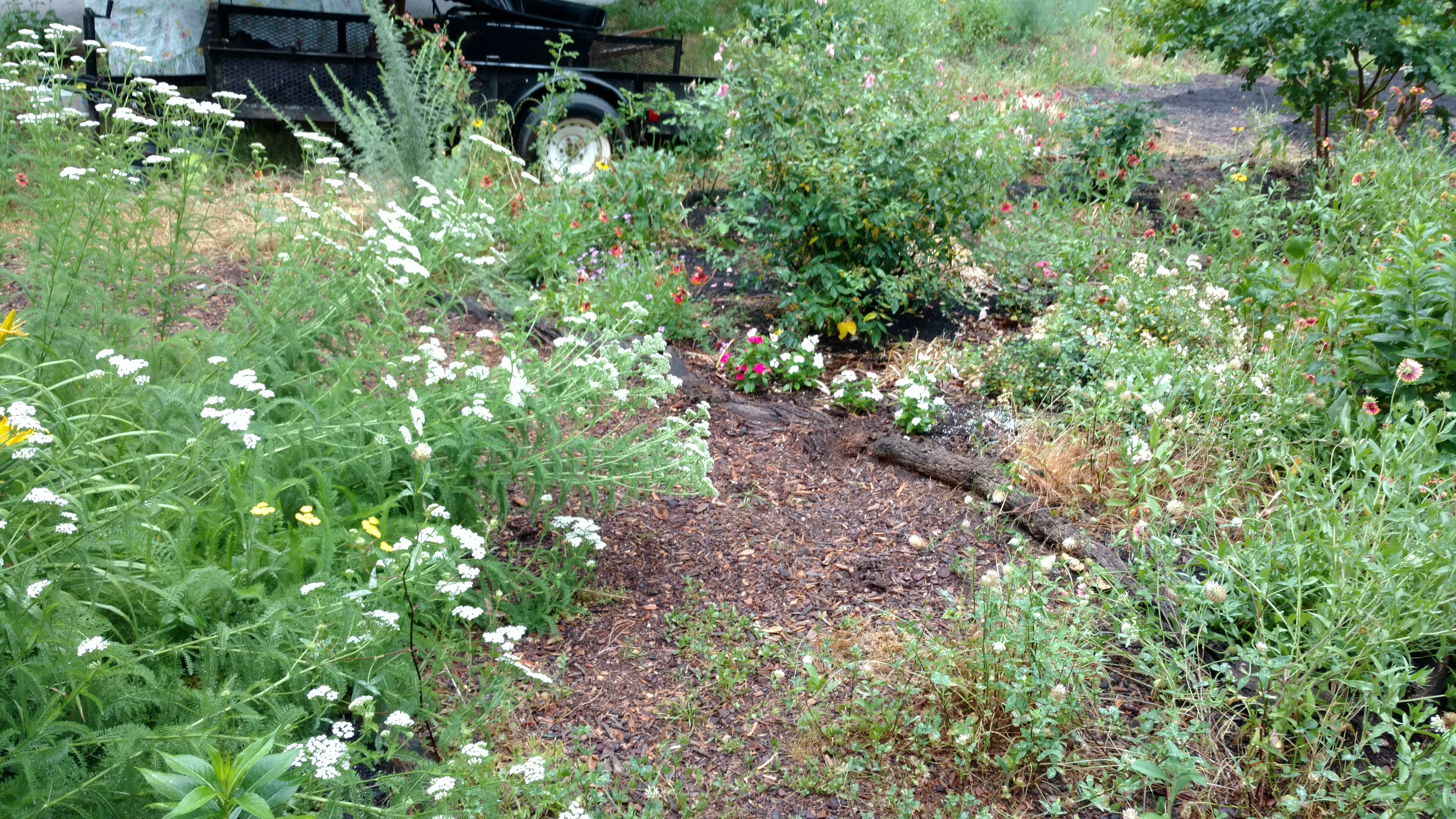 IMG_20180520_190018312