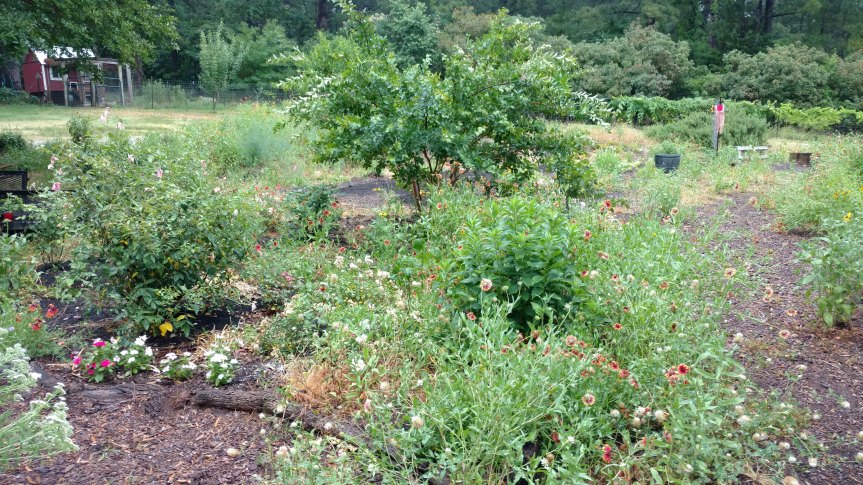 IMG_20180520_190023805