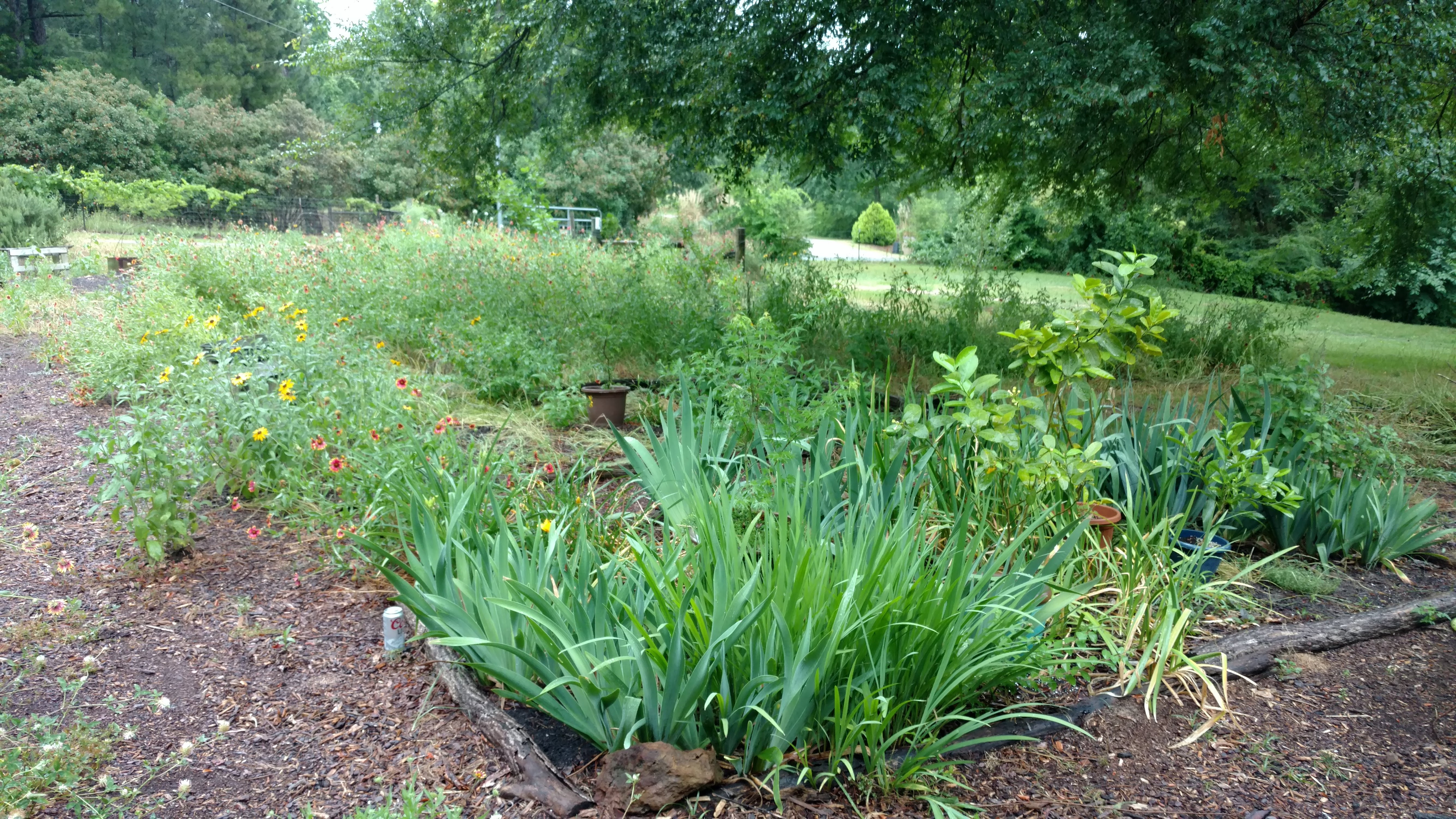 IMG_20180520_190027006