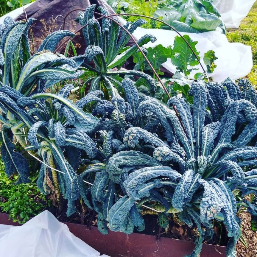 Another drought & I’m&nbsp;out.